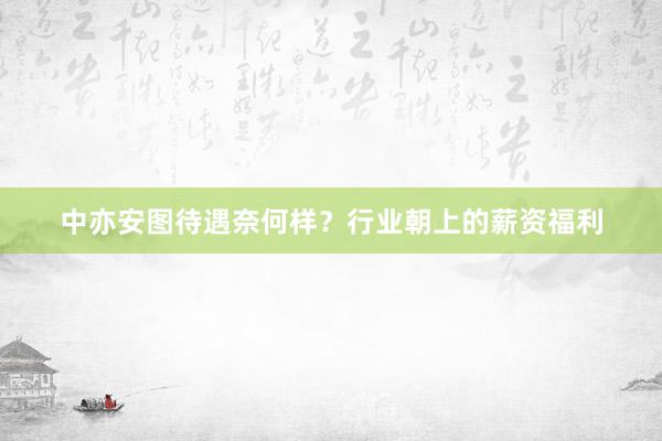 中亦安图待遇奈何样？行业朝上的薪资福利