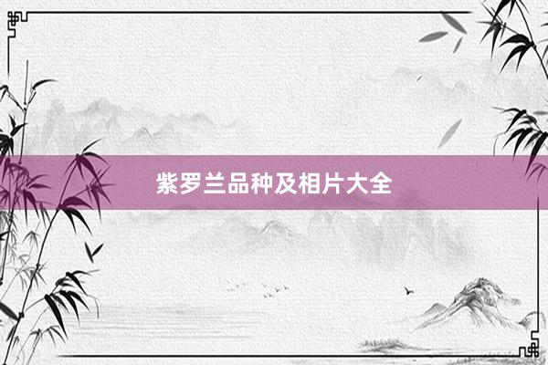 紫罗兰品种及相片大全